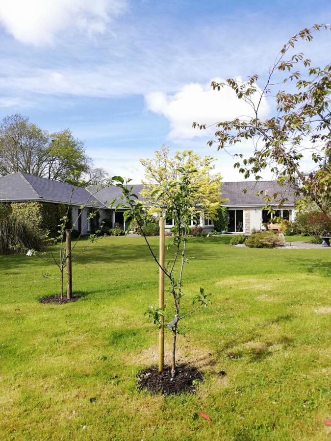Applecroft House Bed and Breakfast Cill Airne Exteriör bild